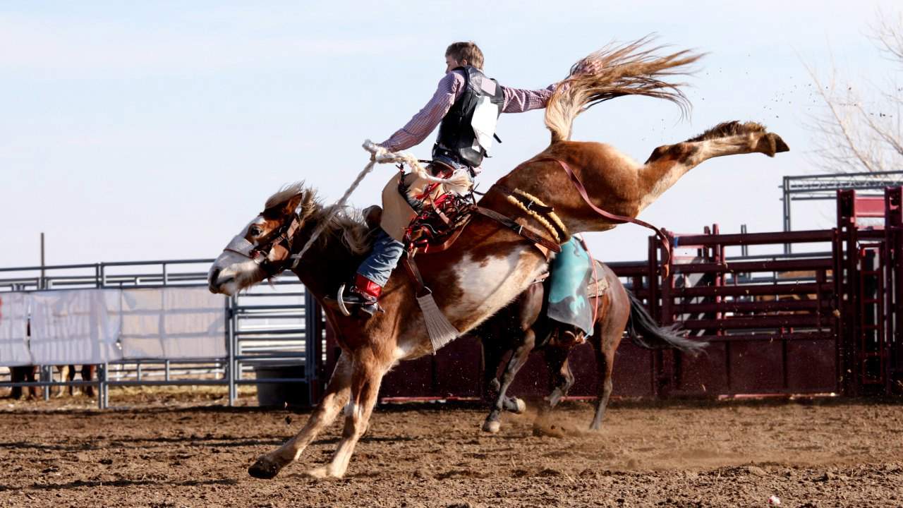 Rodeo, the Sport of Cowboys