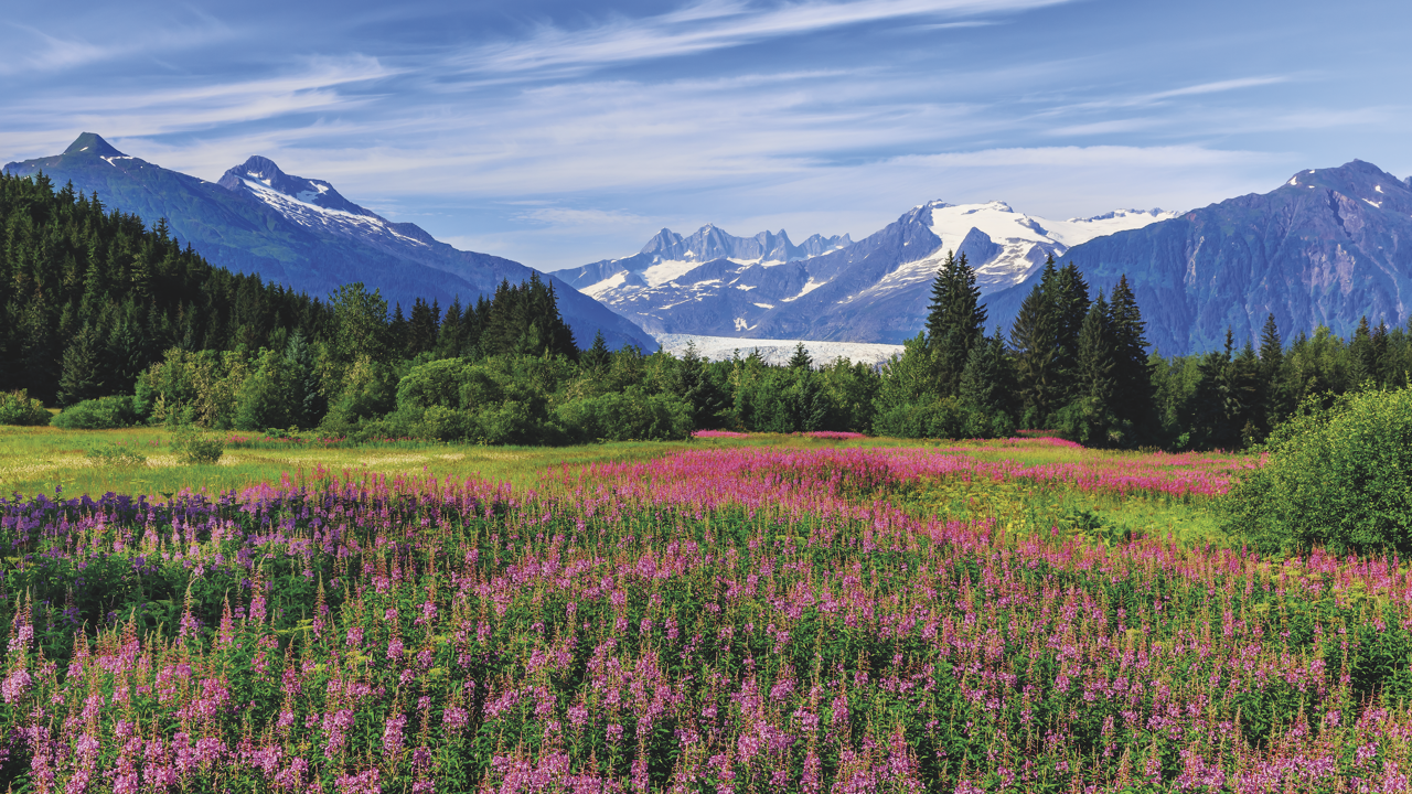 Majestic Juneau: Alaska, USA