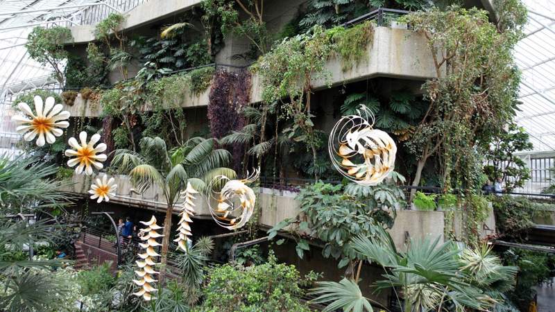 Barbican conservatory