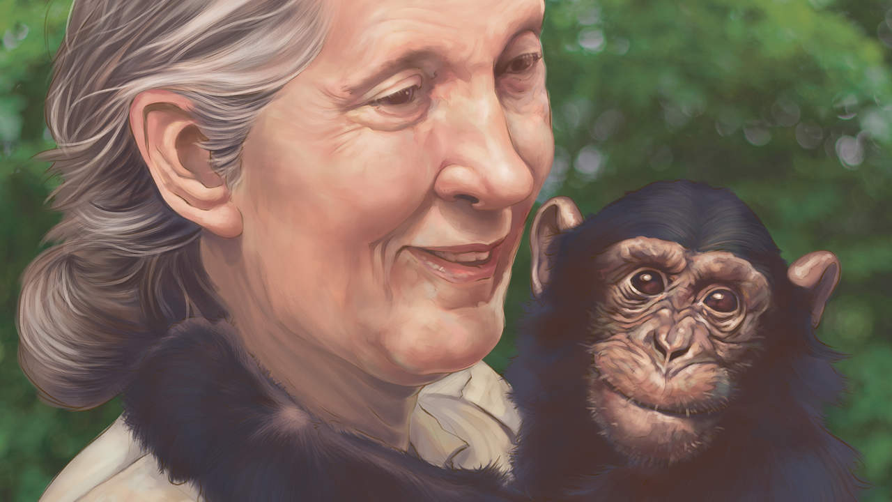 Jane Goodall: World’s Best-Known Naturalist