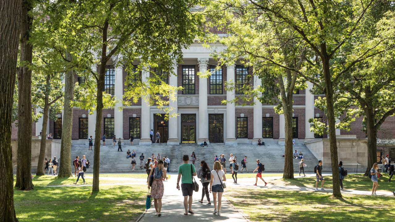 Studiare all'università negli Stati Uniti: il processo di ammissione spiegato da un'americana