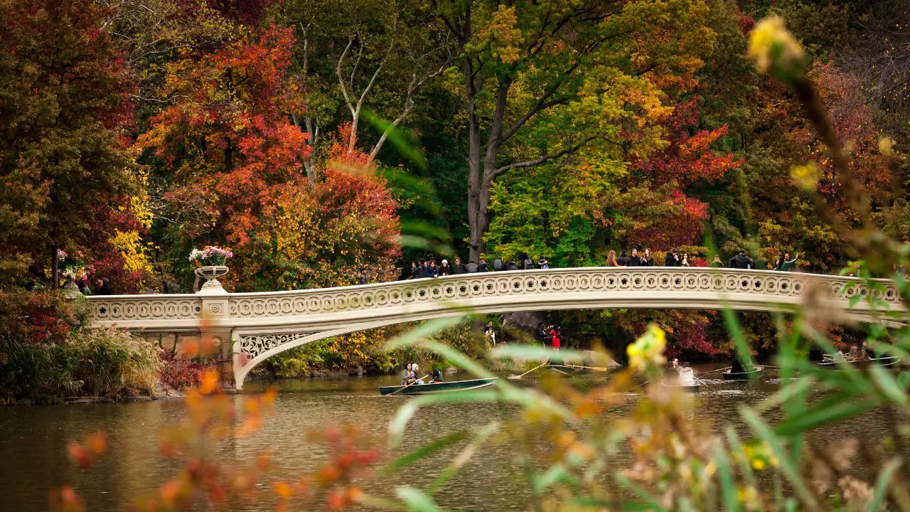 Central Park, New York.