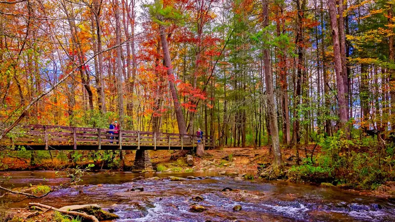 Great Smoky Mountains National Park