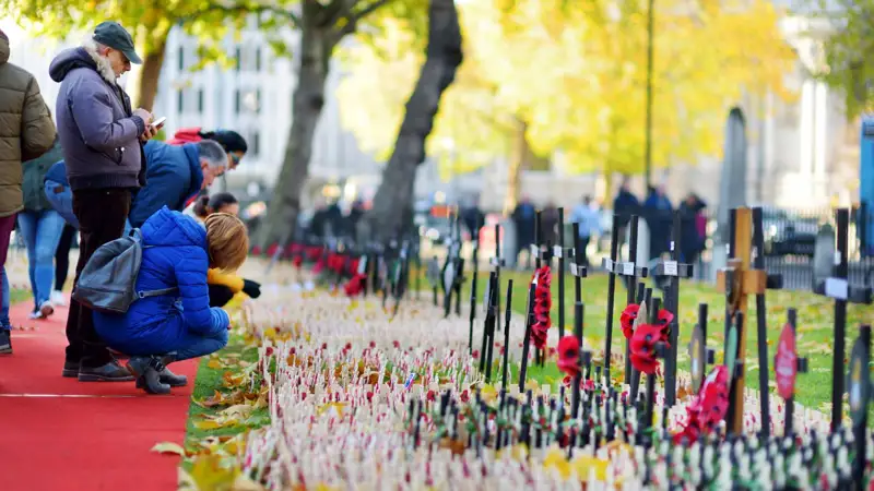 Remembrance Day: Display at Westminster Abbey