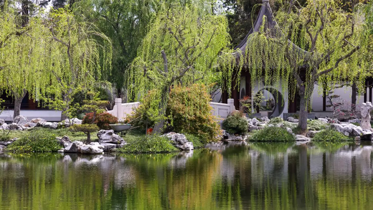 Huntington Botanical Gardens, San Marino