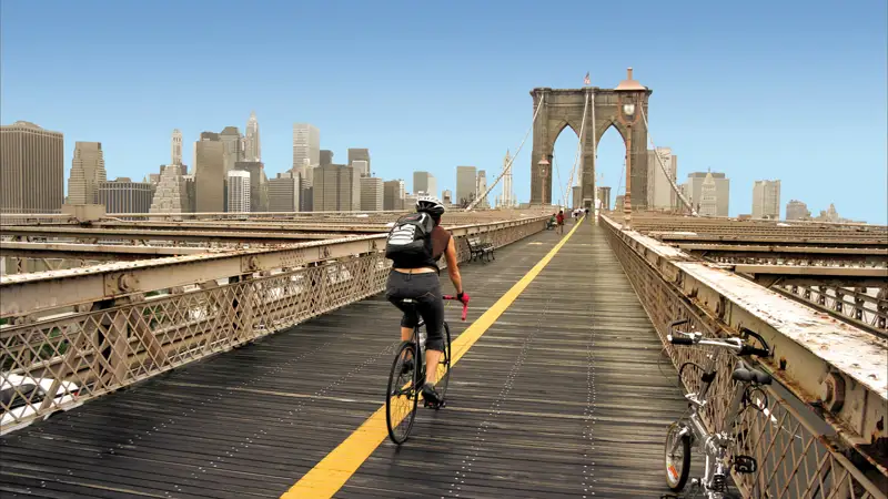 Brooklyn Bridge View