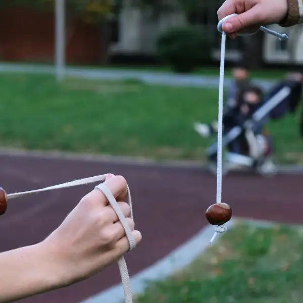 Conkers: a traditional children's game in Great Britain and Ireland