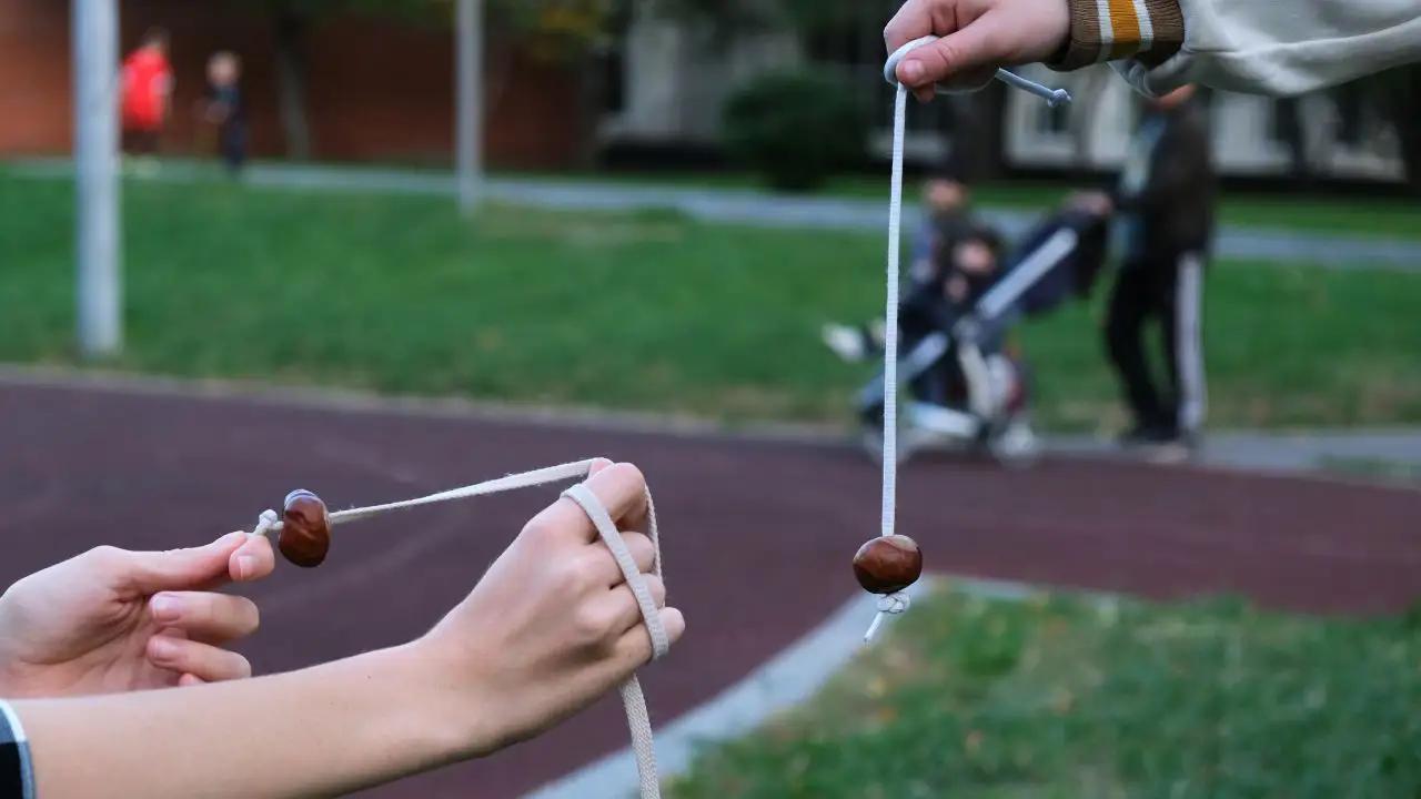 Conkers: a traditional children's game in Great Britain and Ireland