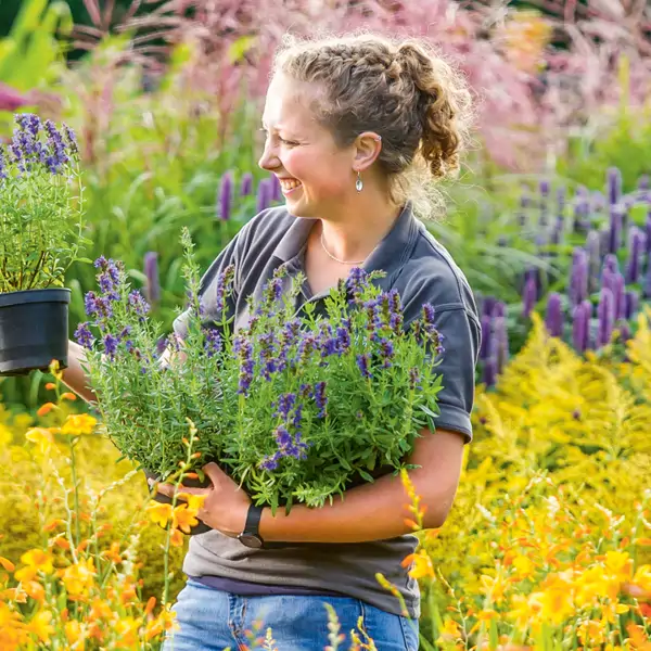 Chelsea Flower Show: In Full Bloom 