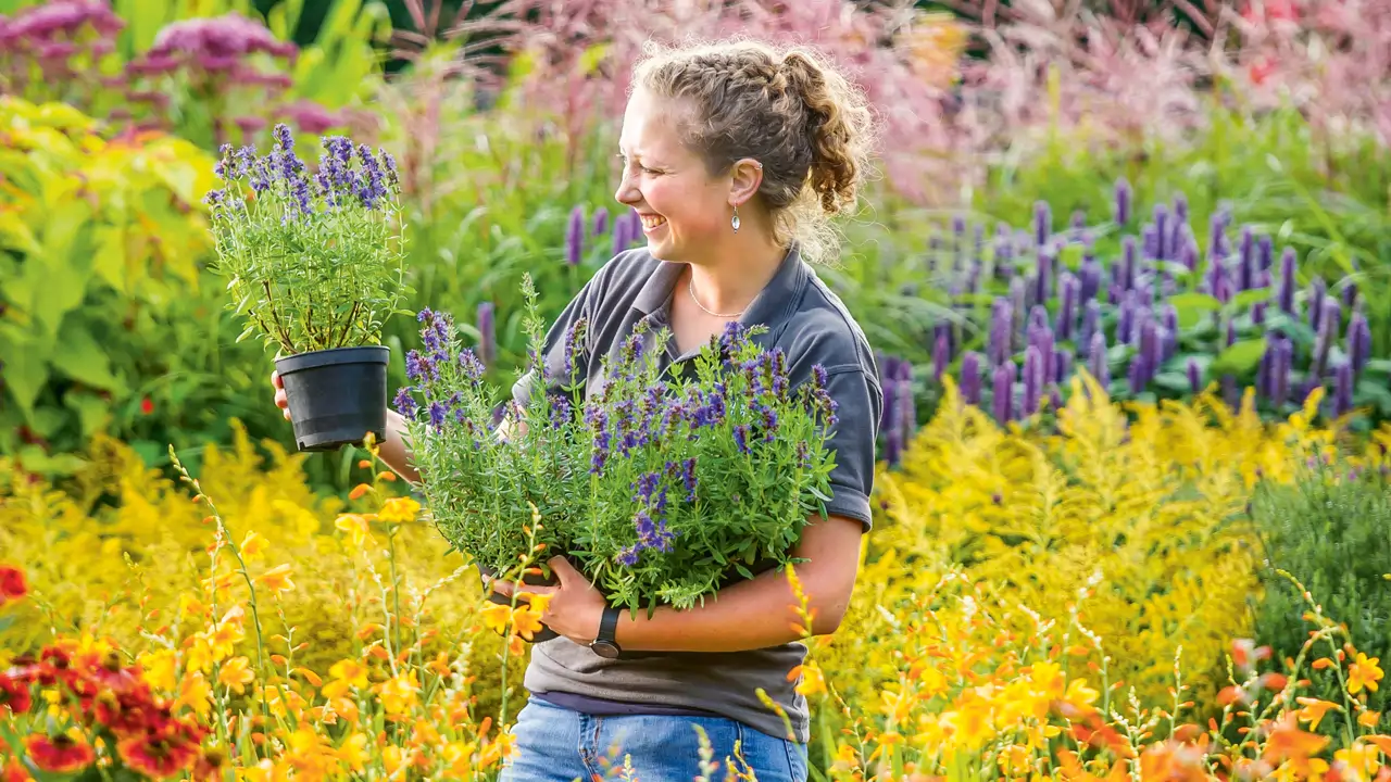 Chelsea Flower Show: In Full Bloom 