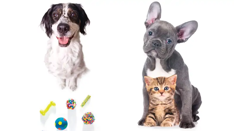 483  Best Friends Forever Adobestock05