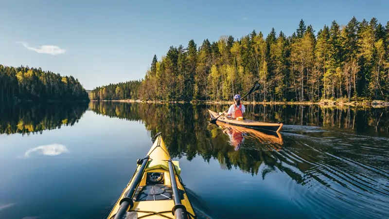 483 The Guardian Finland Adobestock02
