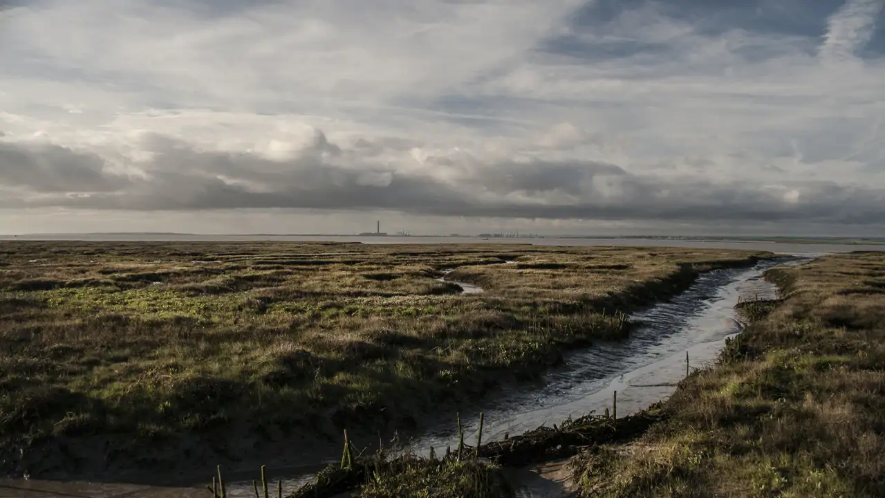 Out To Sea:  The Thames Estuary