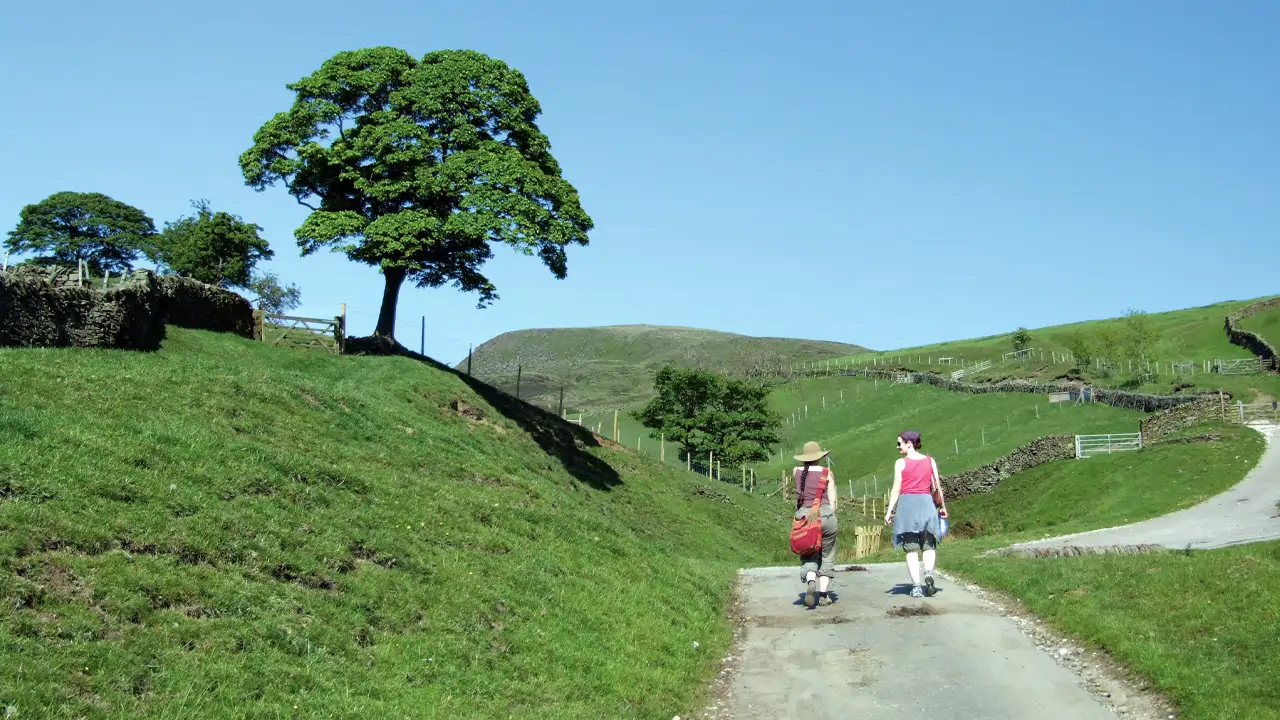 Get on your feet: walking