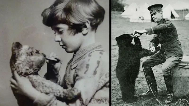 Winnie The Pooh: a Canadian Icon