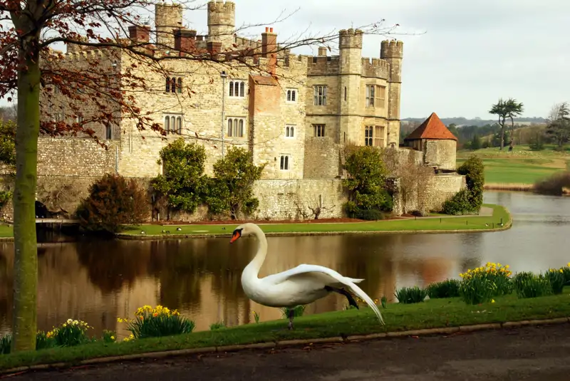 Leeds castle
