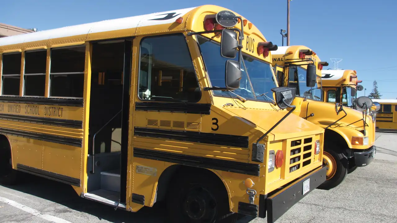 The Yellow School Bus: A Symbol Of The USA