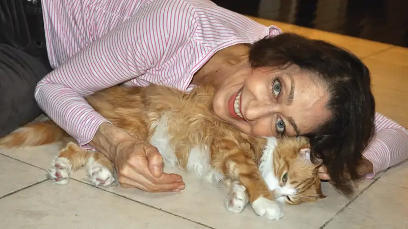 Sharon Mear, Training Cats and Dogs