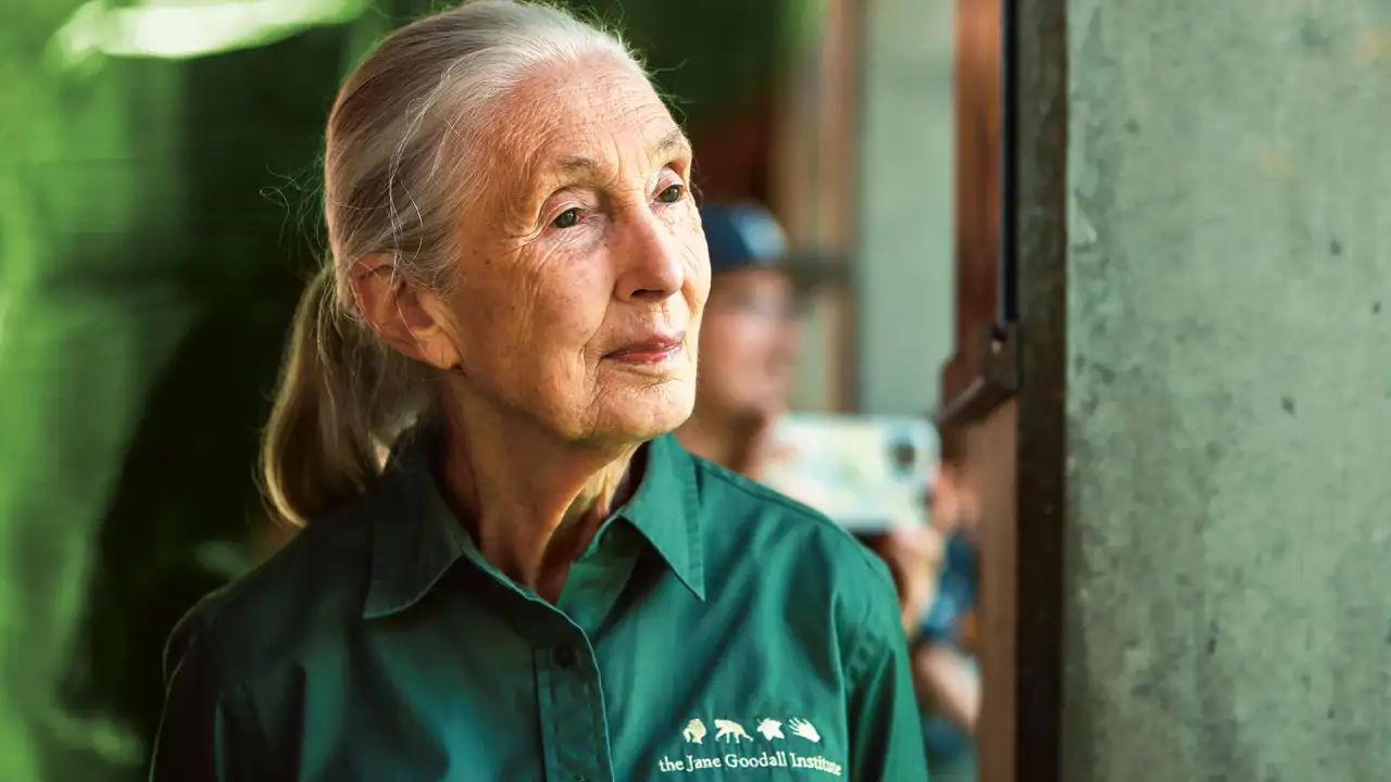 Jane Goodall: Lessons on Science and Humanity