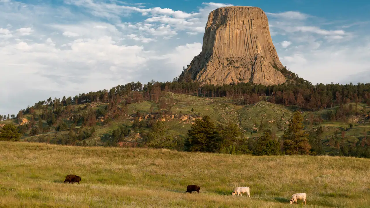Devils Tower: A Monument Surrounded By Stories And Legends