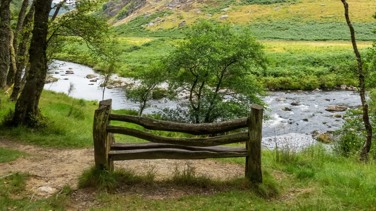 Gwenffrwd-Dinas Reserve: The Welsh Rainforest