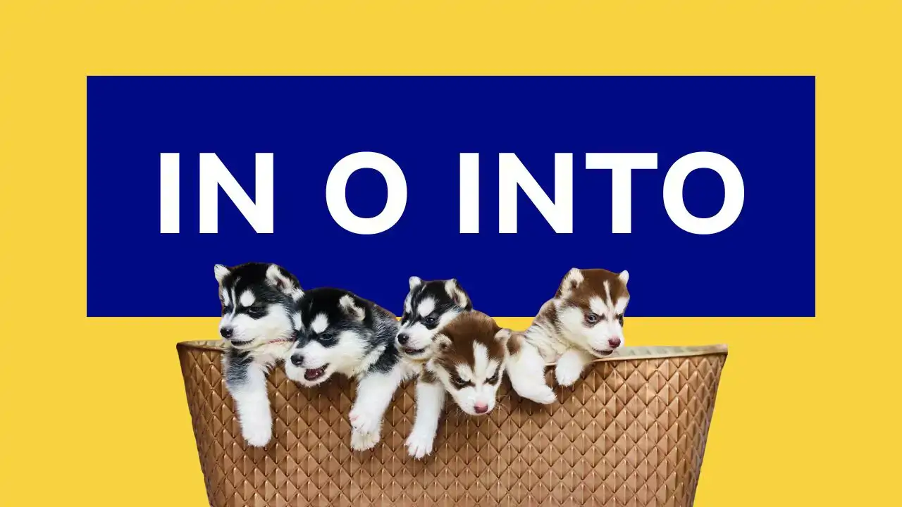 'In' o 'into'? La differenza che molti italiani ignorano in inglese